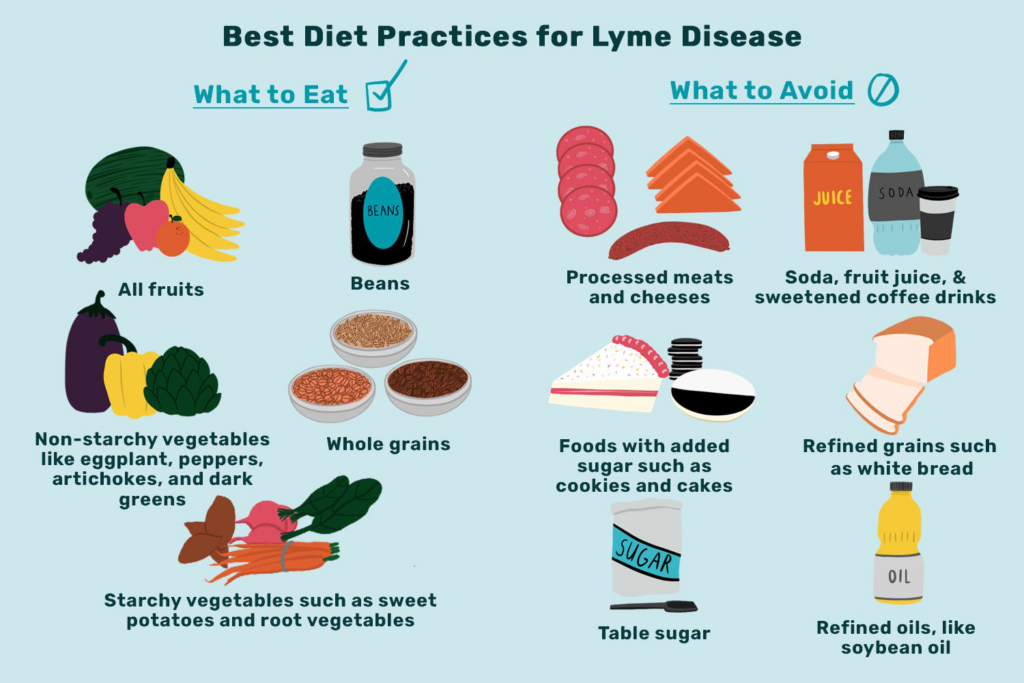 Healthy Lifestyle Habits for Managing Chronic Lyme Disease