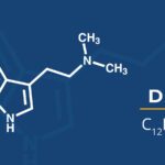 What is DMT?: The Ultimate Guide to the Mystical Psychedelic