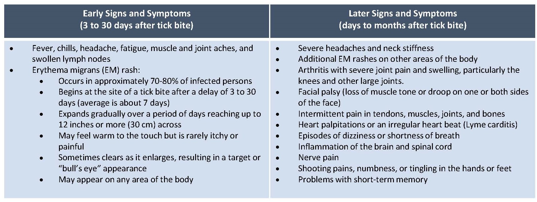 Infographic: Acute vs Chronic Lyme Disease