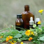 Herbal Remedies and Supplements for Lyme Disease