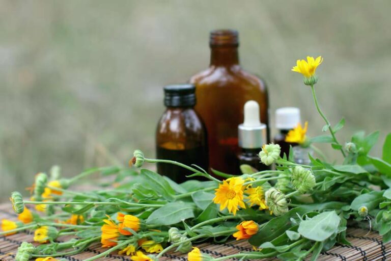 Herbal Remedies and Supplements for Lyme Disease