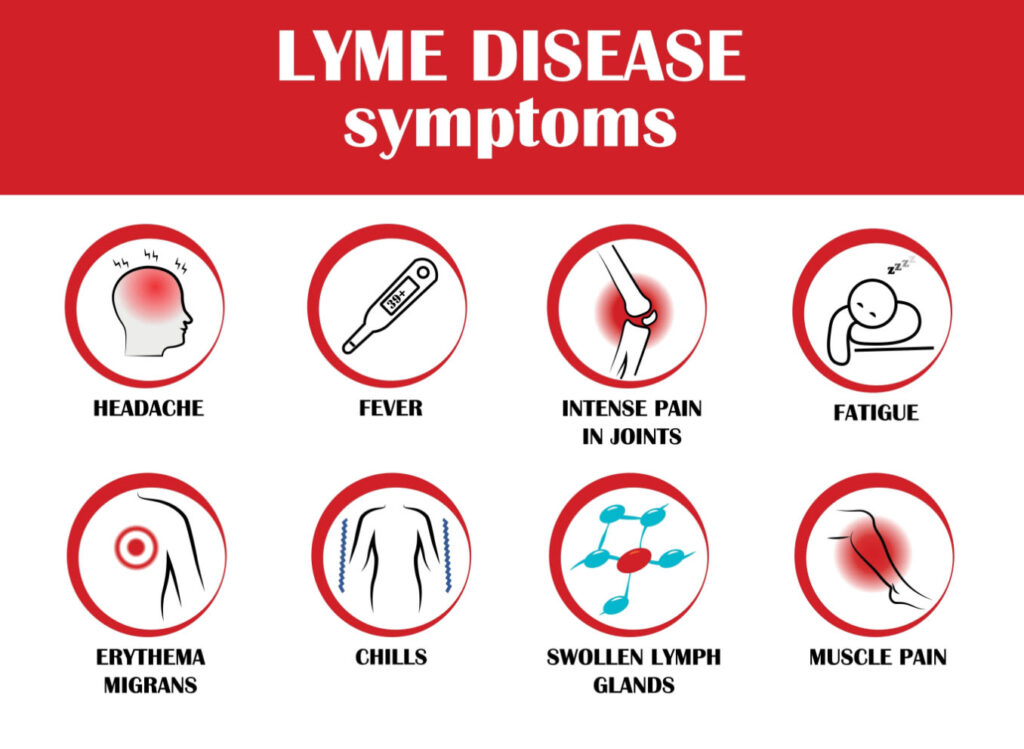 The Complexities of Lyme Disease Diagnosis