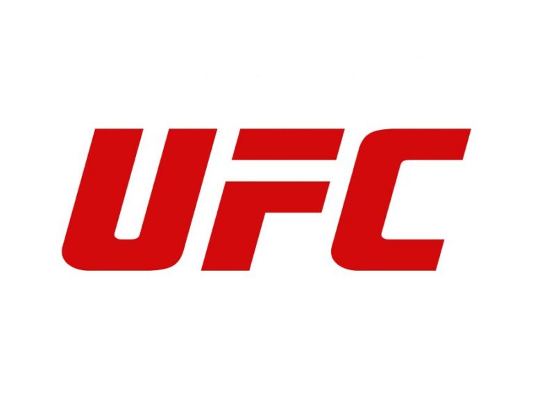 he Ultimate Guide to UFC | Understanding Rules, Fighters, and Strategies