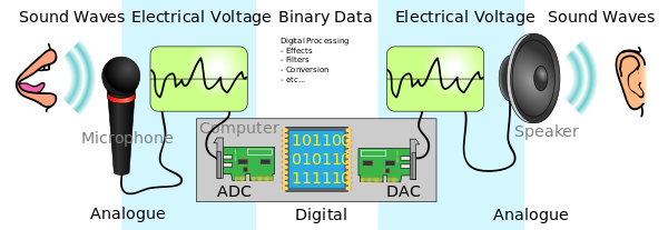 Microphone converting sound to electrical signal